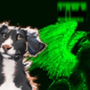 Meet your Posher, Frankxgaming